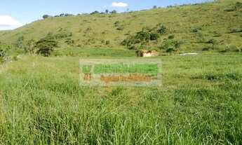 Imagem 3: Fazenda boa para criação de gado em Cachoeira Paulista