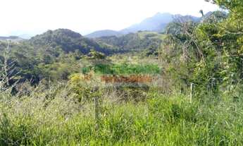 Imagem 5: Fazenda boa para criação de gado em Cachoeira Paulista