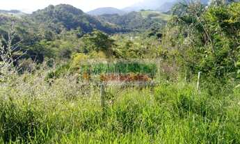 Imagem 6: Fazenda boa para criação de gado em Cachoeira Paulista