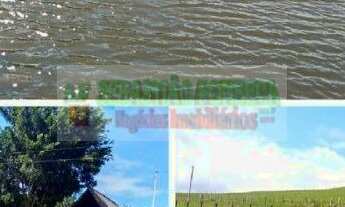 Imagem 5: Belo sítio próximo da rodovia, a venda em Paraibuna