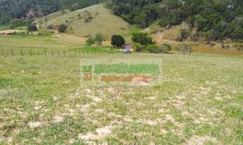 Imagem 7: Belo sítio próximo da rodovia, a venda em Paraibuna