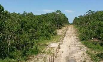 Imagem: Fazenda em Tocantins