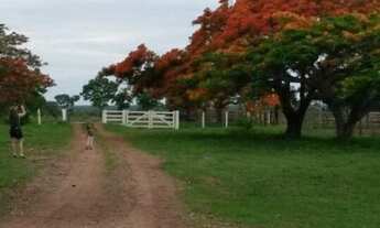 Imagem 2: Fazenda em Tocantins