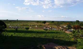 Imagem 3: Fazenda em Tocantins
