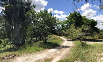 Imagem 4: Sítio de Gravatá