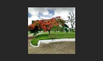 Imagem: Sítio Monte Verde