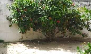 Imagem: Casa em Pau Amarelo