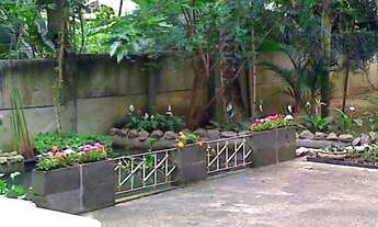 Imagem 3: Chacará em São Sebastião