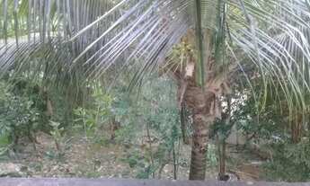 Imagem 5: Oportunidade Casa com 3 quartos sendo 1suíte master 2 salas com contesto aberto 3 banhe