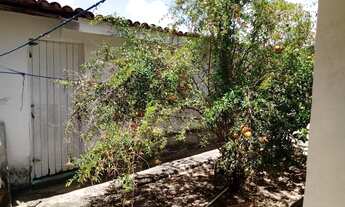 Imagem 4: CASA RESIDENCIAL RUA PROFESSOR ANICE DE OLIVEIRA N° 247 - JANGA