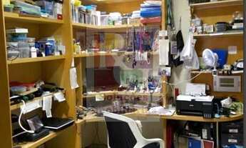 Imagem 4: FOLHA DE ACANTHUS