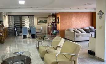 Imagem 7: FOLHA DE ACANTHUS