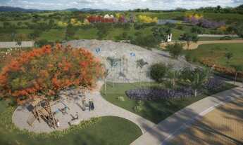 Imagem 7: TERIVA - BELA VISTA