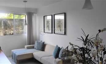 Imagem 7: Alameda dos Passaros