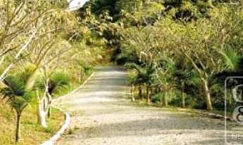 Imagem: Condomínio fechado cercado pela Mata Atlântica