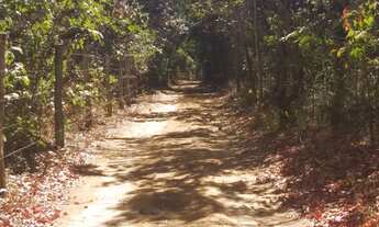 Imagem 2: ótima chácara em Samambaia Norte Brasília-DF