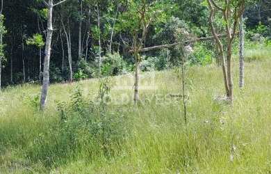 Imagem 6: ![CDATA[Terreno Bairro ribanceira do sul]]