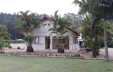 Imagem 2: ![CDATA[Sítio com parreiral de uvas e arrozais em plena produtividade]]