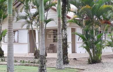 Imagem 3: ![CDATA[Sítio com parreiral de uvas e arrozais em plena produtividade]]