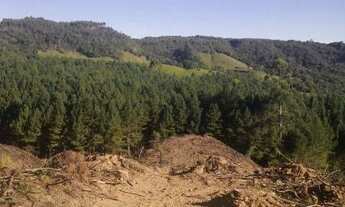 Imagem: ! CDATA Sitio em Vidal Ramos