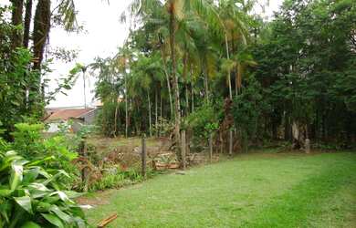 Imagem 3: ![CDATA[Terreno, Bairro Barra do Rio Molha ]]