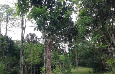 Imagem 3: ![CDATA[Terreno, Bairro Vila Lenzi]]