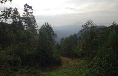 Imagem 6: ![CDATA[Terreno, Bairro Amizade]]