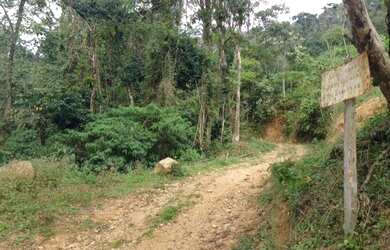 Imagem 2: ![CDATA[Terreno, Bairro Amizade]]