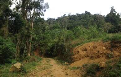 Imagem 3: ![CDATA[Terreno, Bairro Amizade]]