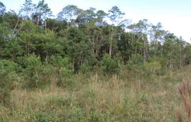 Imagem 5: ![CDATA[Terreno Industrial Comercial Bairro Corveta Araquari]]