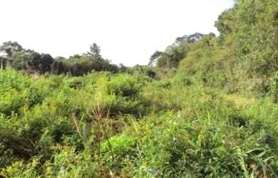 Imagem 7: ![CDATA[Terreno Industrial Comercial Bairro Corveta Araquari]]