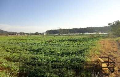 Imagem 4: ![CDATA[Terreno, Bairro Itapocu ]]