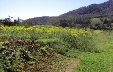 Imagem 3: ![CDATA[Terreno, Bairro João Pessoa]]