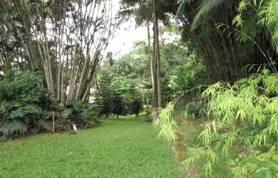 Imagem 3: ![CDATA[Terreno na Nova Brasilia]]