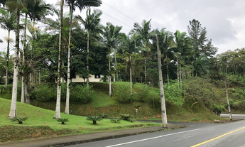 Imagem: ! CDATA Terreno Casa Bairro Chico de Paulo
