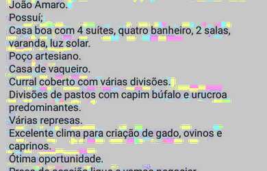 Imagem 4: ![CDATA[Fazenda em Iaçu]]