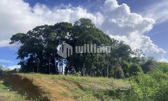 Imagem 4: ![CDATA[TERRENO COM ÁREA GRANDE E ÓTIMA LOCALIZAÇÃO ]]