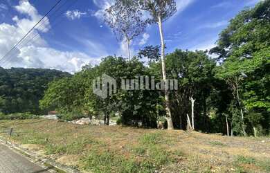 Imagem 2: ![CDATA[TERRENO GIGANTE EM ÁREA DE CASAS DE ALTO PADRÃO ]]