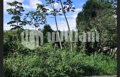 Imagem 2: ![CDATA[TERRENO COM 325 M² NA AGUAS CLARAS]]