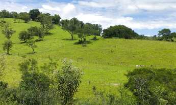 Imagem 3: ÍTIO EXCLUSIVO À VENDA Palmital, PR