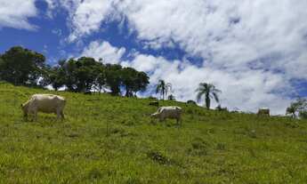 Imagem: ÍTIO EXCLUSIVO À VENDA Palmital, PR
