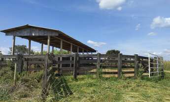 Imagem 6: SÍTIO À VENDA Marquinho - PR