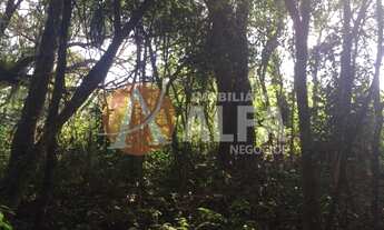 Imagem 6: Terreno 1.300M² - Rio de Una - Ibiúna-SP