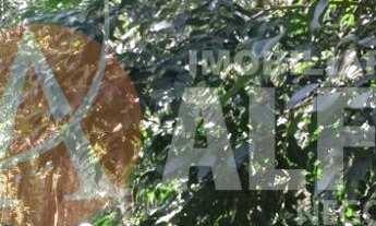 Imagem 5: Terreno 1.300M² - Rio de Una - Ibiúna-SP