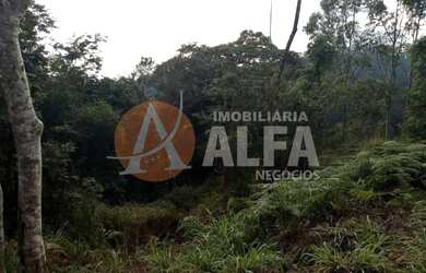 Imagem 5: LINDO TERRENO 7.211,78 m² - ELDORADO