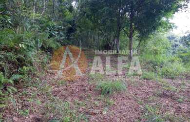 Imagem 4: LINDO TERRENO 7.211,78 m² - ELDORADO