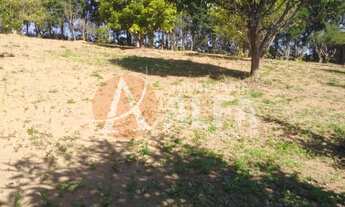 Imagem: Excelente Oportunidade de Negócios Chácara