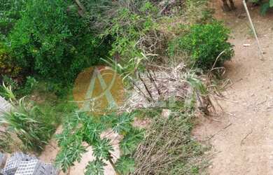 Imagem 3: Terreno com 290 m² - Jardim Leonor - Cotia/SP