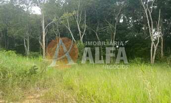 Imagem 6: Terreno com 10.600 m² - Jardim Santa Paula - Cotia / SP