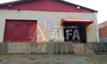 Imagem 5: GALPÃO - 13x14 metros - IBIÚNA - COTIA/SP